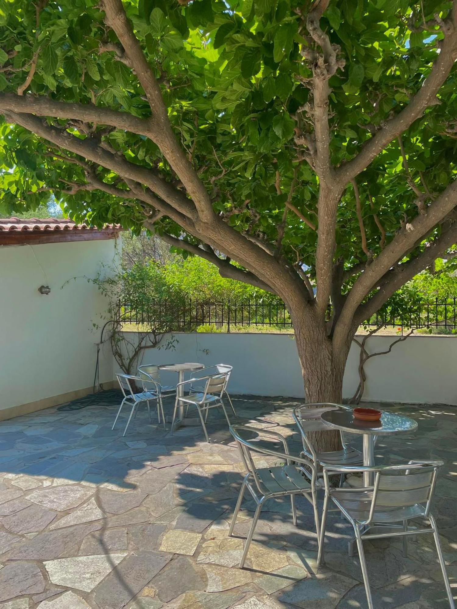 Yfantis Sakis Apartment'S Erateini Exterior foto